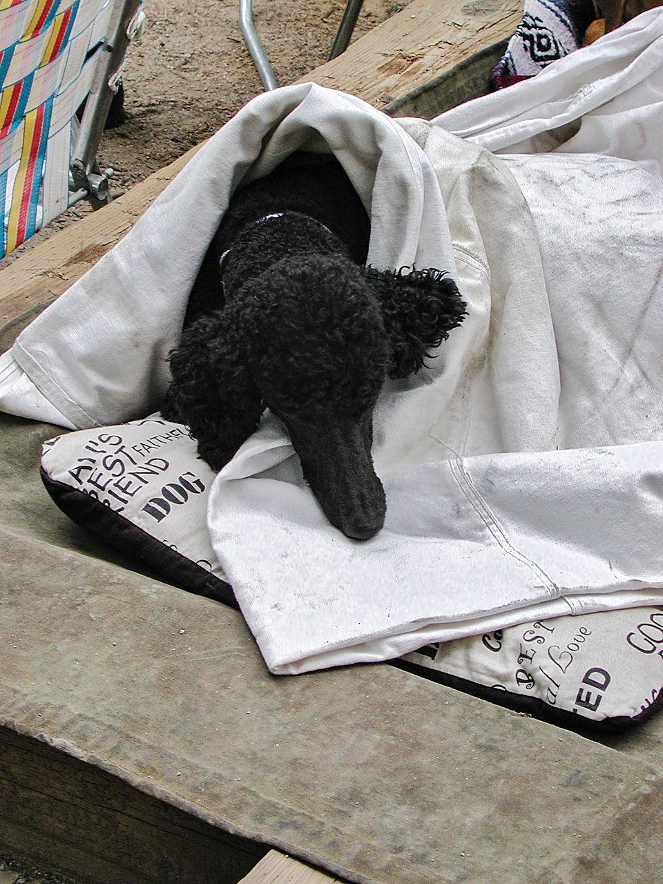 Photo 30 of 37